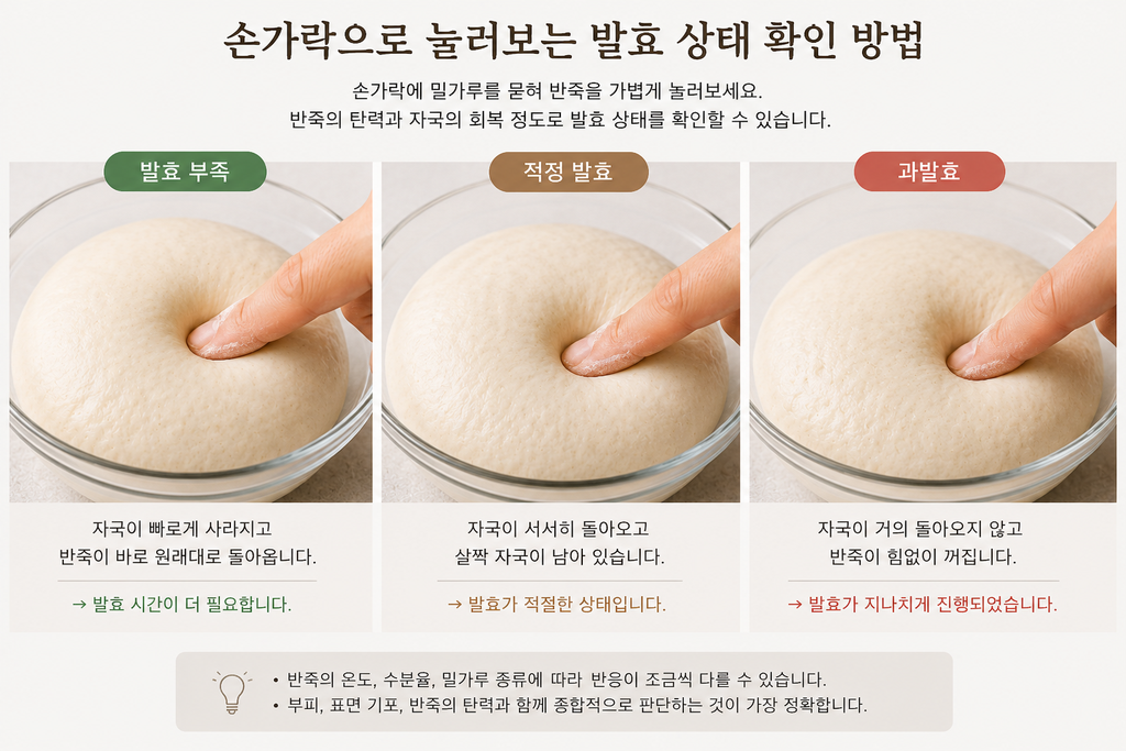 빵 반죽 과발효를 확인하는 손가락 테스트와 발효 상태 비교