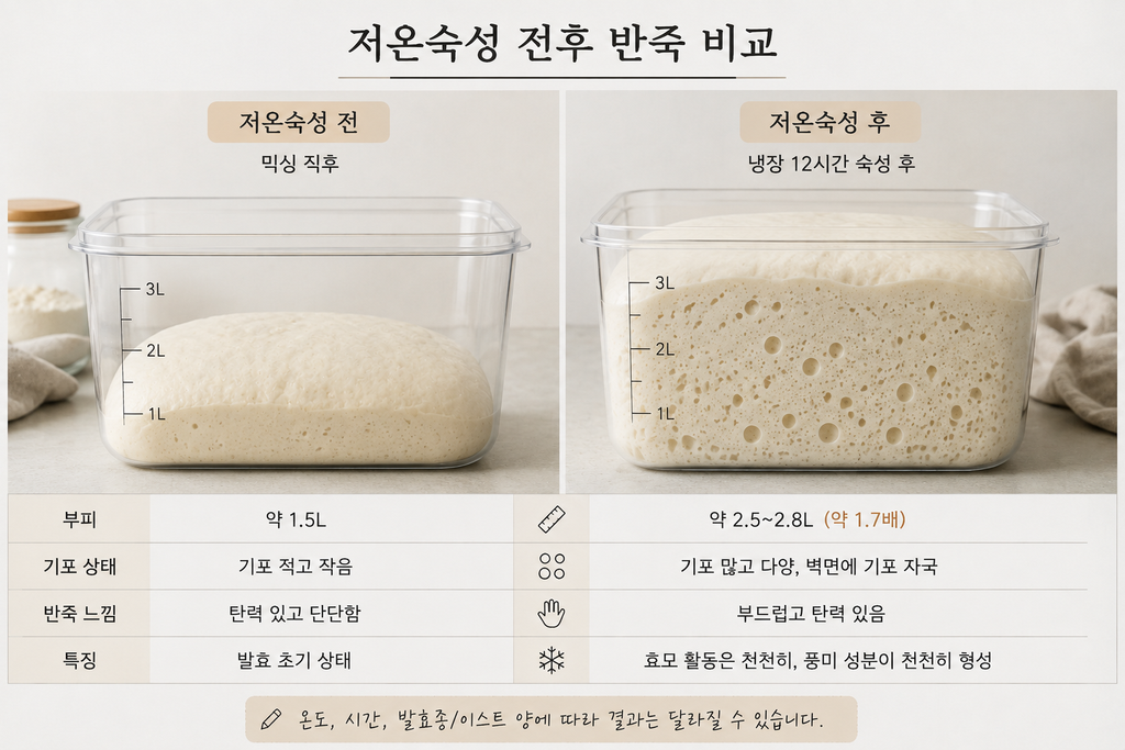 저온숙성 빵 반죽의 냉장 발효 전후 부피와 기포 변화 비교