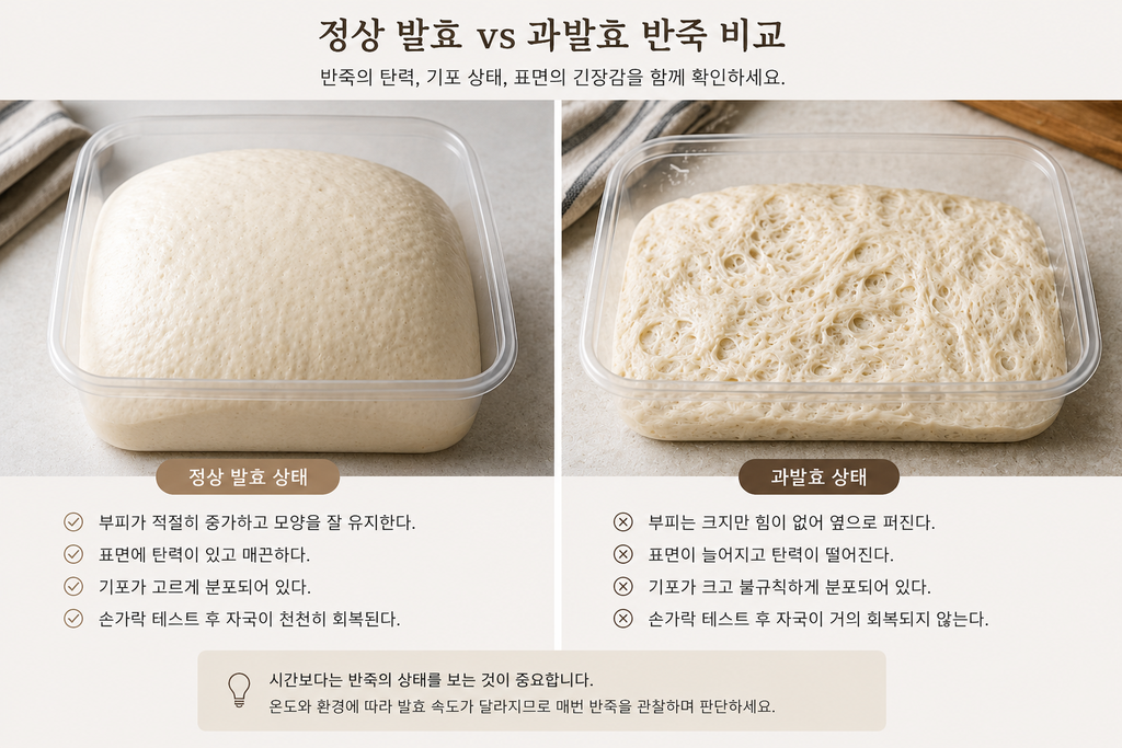 빵 반죽 과발효와 정상 발효 반죽의 부피 기포 탄력 비교