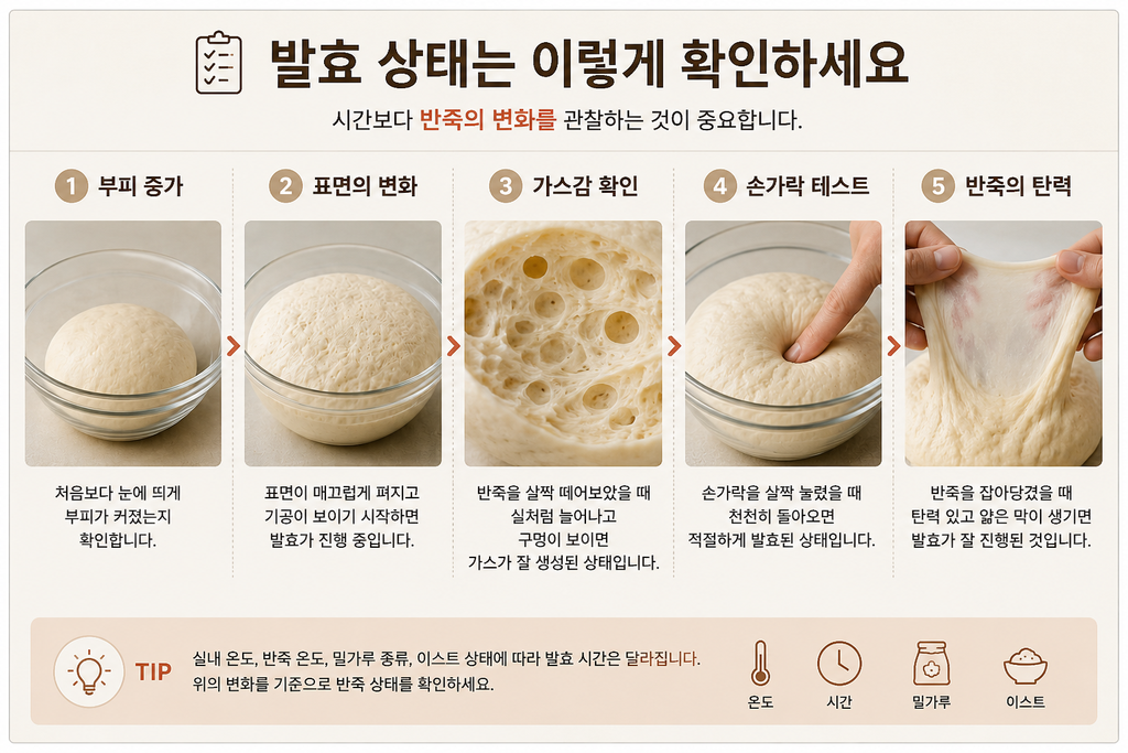 빵 반죽 발효 상태를 부피와 기포 손가락 테스트로 확인하는 방법