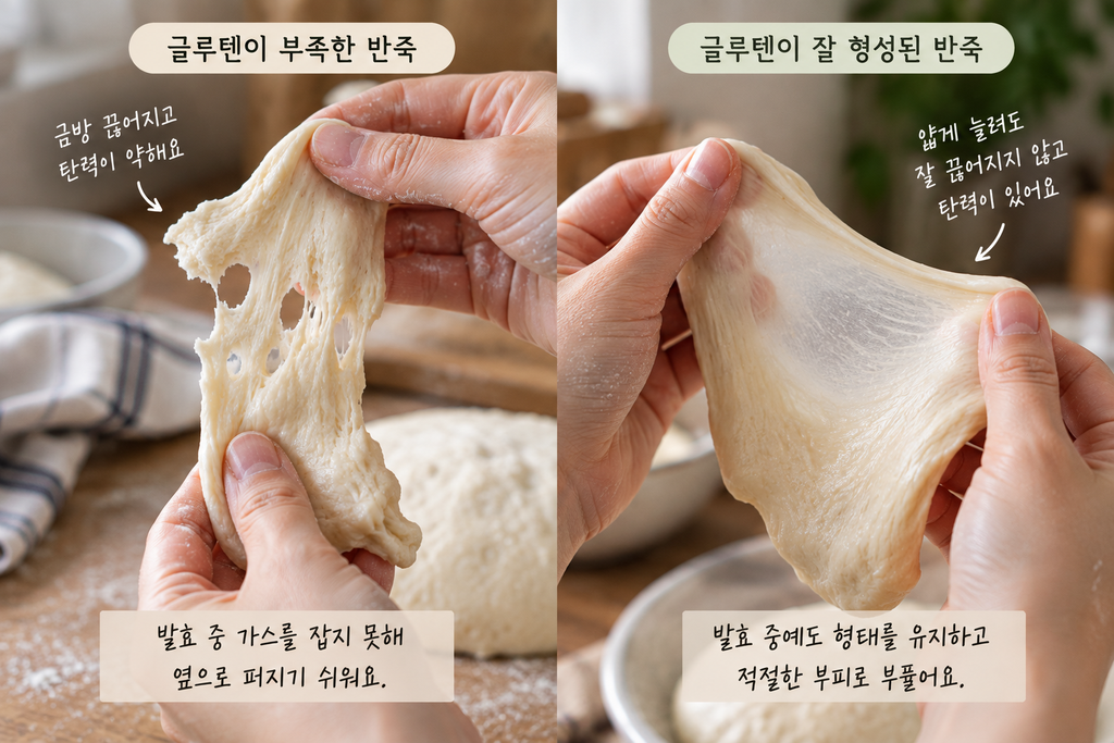 빵 반죽이 옆으로 퍼지는 원인인 글루텐 부족 반죽과 잘 형성된 반죽 비교
