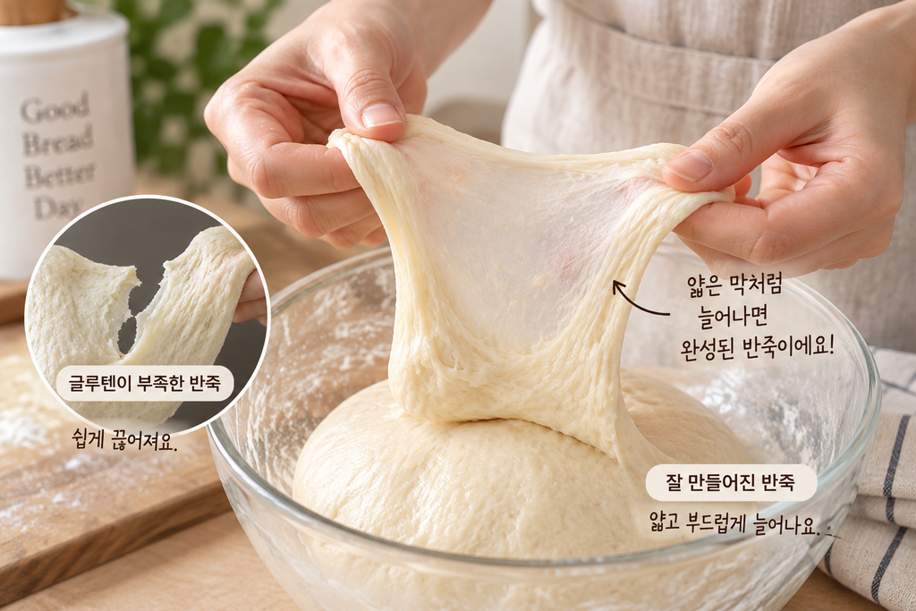 식빵이 퍽퍽해지는 이유를 확인하는 글루텐 형성과 식빵 반죽 윈도페인 테스트