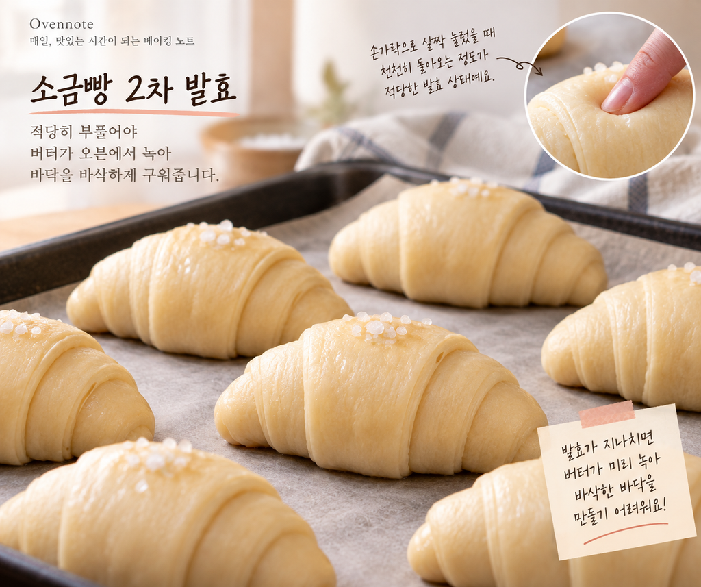 소금빵 2차 발효 상태와 손가락으로 반죽의 발효 정도를 확인하는 모습