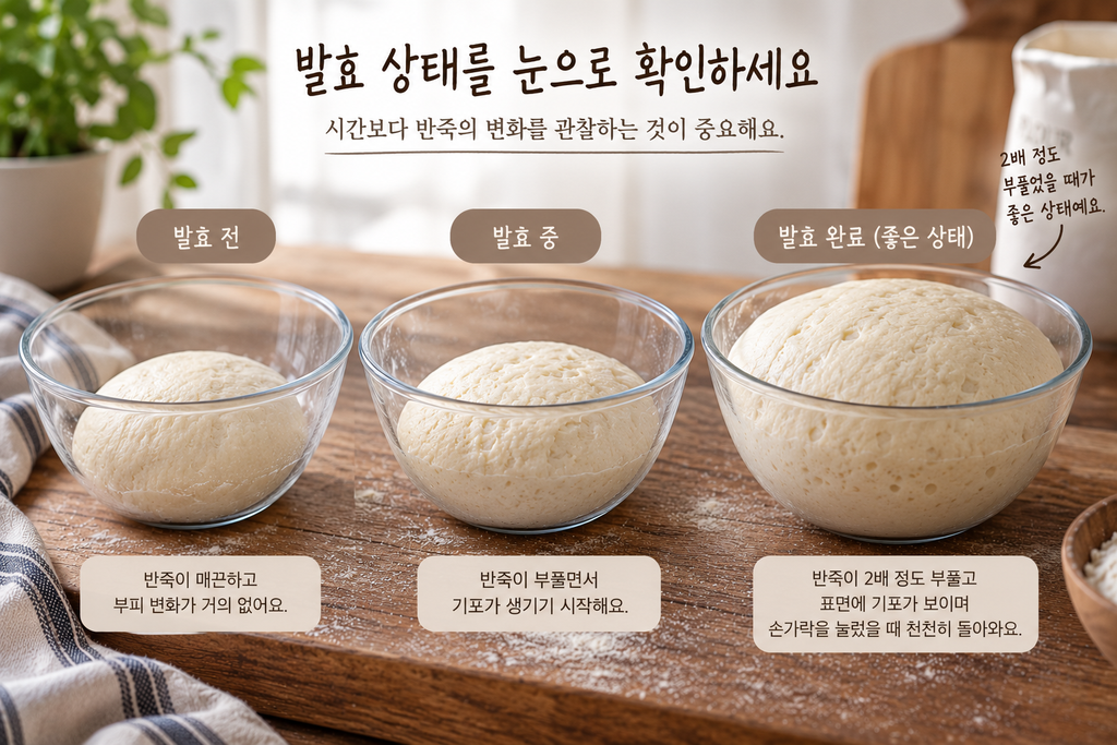 빵 반죽의 발효 전 발효 중 발효 완료 상태 비교