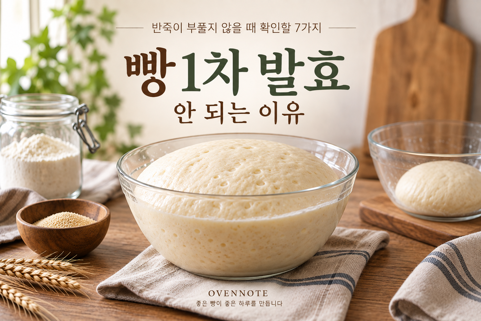 빵 1차 발효가 안 되는 이유｜반죽이 부풀지 않을 때 확인할 7가지