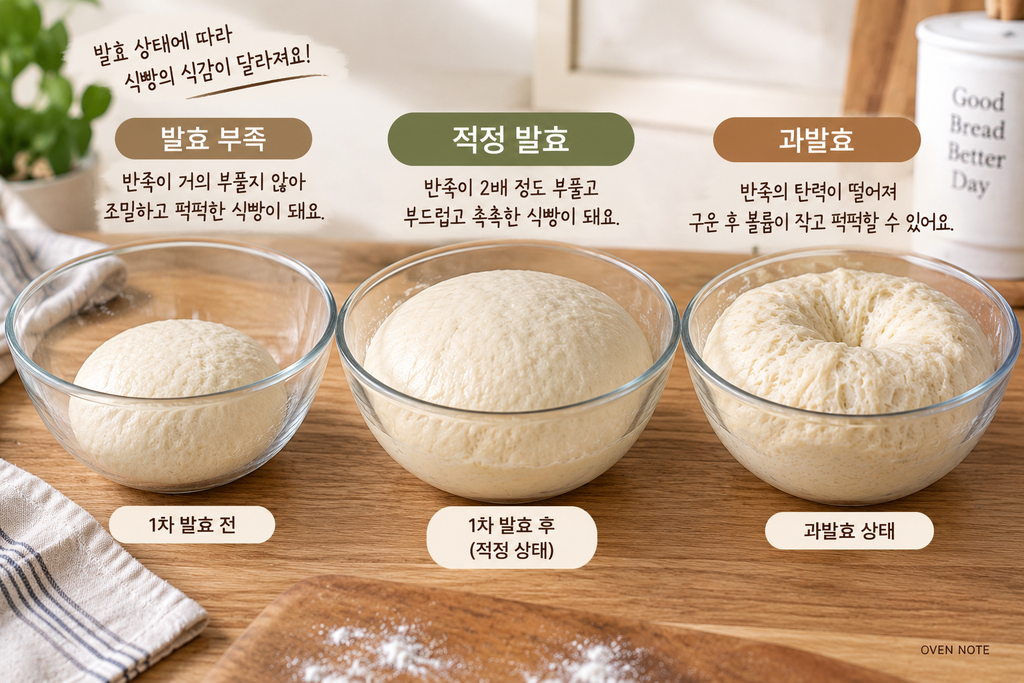 식빵이 퍽퍽해지는 이유와 발효 부족 적정 발효 과발효 상태의 식빵 반죽 비교