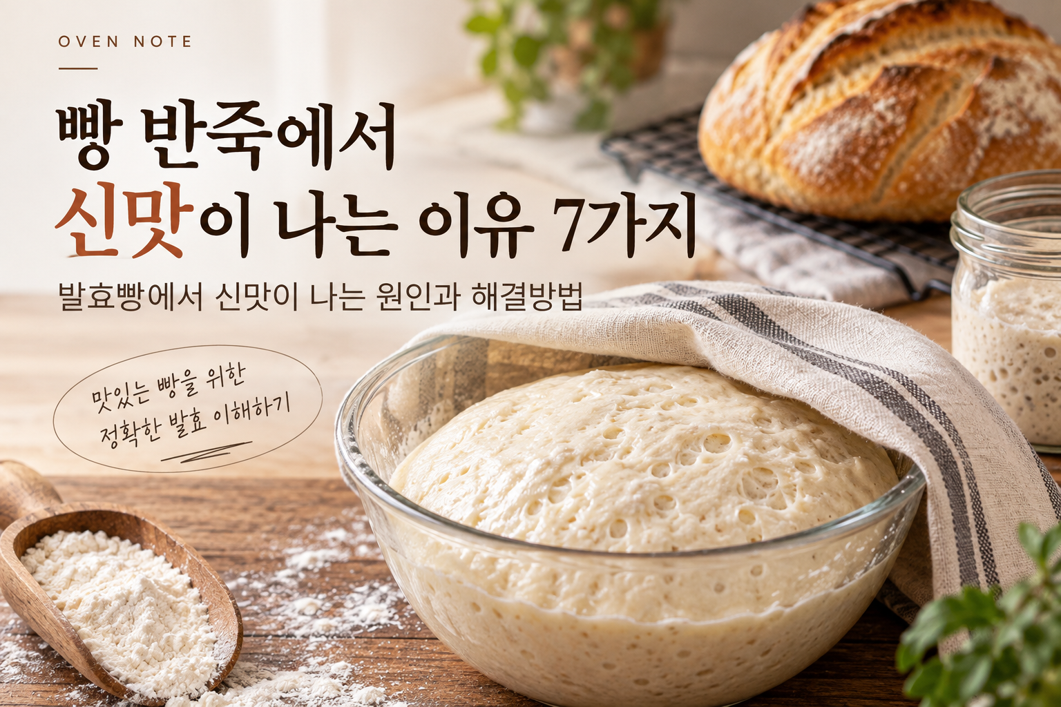 빵 반죽에서 신맛이 나는 이유 7가지｜발효빵에서 신맛이 나는 원인과 해결방법
