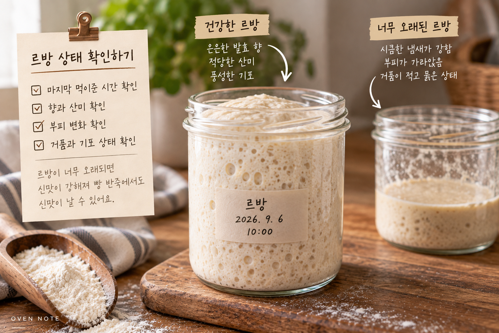빵 반죽에서 신맛이 나는 이유 중 건강한 르방과 오래되어 산미가 강해진 르방 상태 비교